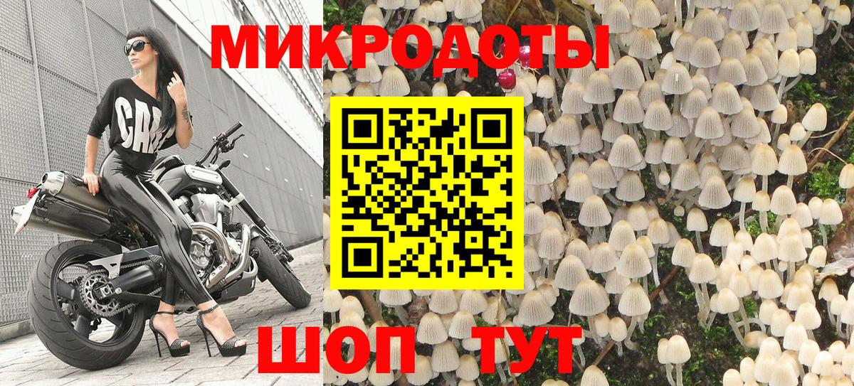 Галлюциногенные грибы Psilocybe  Вход с VPN  Минеральные Воды 