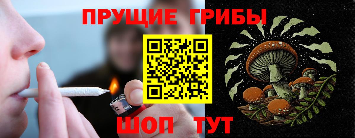 Псилоцибиновые грибы мицелий Минеральные Воды